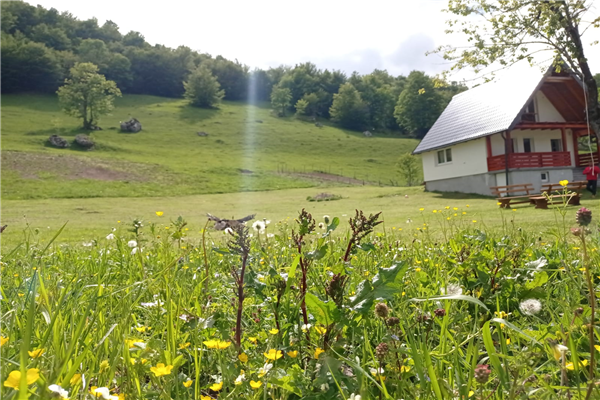 Planinska Kuća Bjelašnica