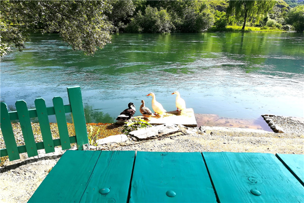 Riverside Buna